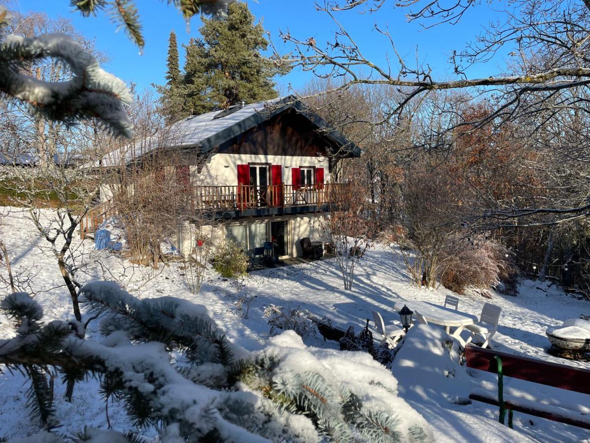 Chalet Les Airelles لابروتشه المظهر الخارجي الصورة